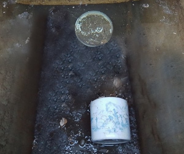 納骨室に水が入り、お骨がプカプカと浮いている様子