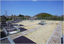 高安山霊園の墓地の様子