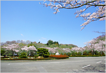 高安山霊園の周辺の様子